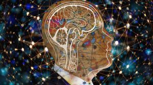 Artificial intelligence is on the cards in the future of conveyancing