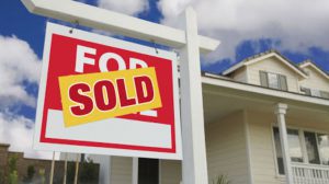 Searches for a NSW Purchase Matter